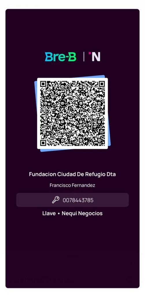 Bre-B Nequi